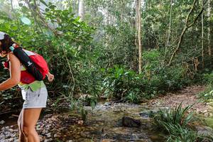 BIB: 
                            <button type="button" onclick="openModal(22348725)" class="btn btn-primary btn-sm float-right btn-popup" data-toggle="modal" data-target=".modal-high-quality">
                        <i class="fas fa-shopping-cart"></i> Add to Cart
                    </button>
                                            <button type="button" onclick="isThisMe(22348725, true)" class="btn btn-success btn-sm float-right btn-popup btn-isme hidden" data-toggle="tooltip" data-placement="bottom" title="นี่คือรูปของคุณใช่ไหม คลิกที่นี่เพื่อเอาเข้าอัลบั้ม">
                        <i class="fas fa-plus"></i> Add to album
                    </button>
                    <button type="button" onclick="isThisMe(22348725, false)" class="btn btn-warning btn-sm float-right btn-popup btn-isnotme hidden">
                        <i class="fas fa-ban"></i> Remove from album
                    </button>